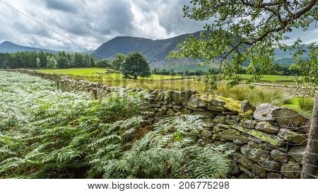 A landscape view of the area around Crummock Water one of the lakes in the Lake District Cumbria United Kingdom.