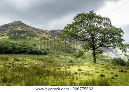 A landscape view of the area around Crummock Water one of the lakes in the Lake District Cumbria United Kingdom.