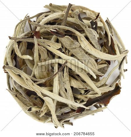 Yue Guang Bai chinese white tea isolated
