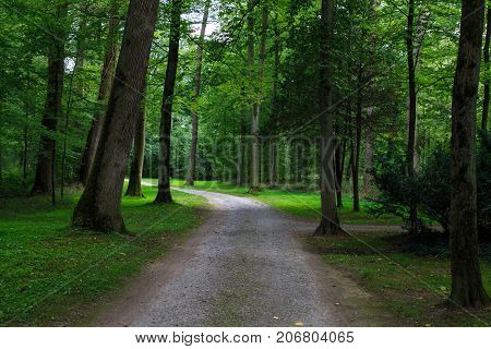 Forest landscape: winding road in an old park among deciduous trees. Park Schoenbusch ( Schönbuch ) - english landscape garden Aschaffenburg Germany