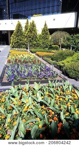 Flower beds in the relaxation area of the airport