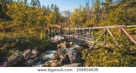 Old Wooden Bridge in Forest in Velicka Valley Leading to Gerlachovsky Peak High Tatras Slovakia
