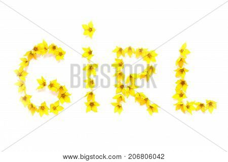 Word GIRL written with yellow flowers isolated on white babyshower postcard.
