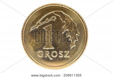 Closeup of 1 polish grosz coin isolated on white background with clipping path