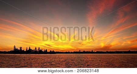 Stunning sunrise panorama over water with trees on the horizon and with highlighted golden wispy cirrus clouds. Some may call this display a Firey Sky. Lake Macquarie New South Wales Australia.