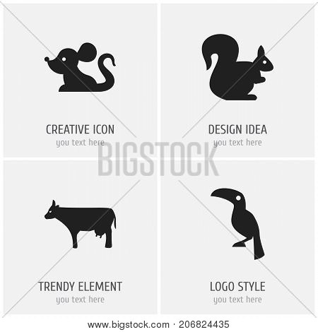 Set Of 4 Editable Animal Icons. Includes Symbols Such As Kine, Wild Rodent, Toucan And More