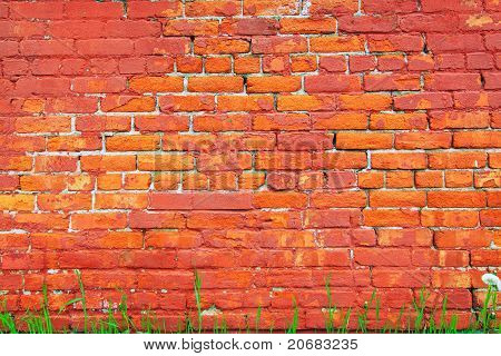 Brickwall in der Sommersonne