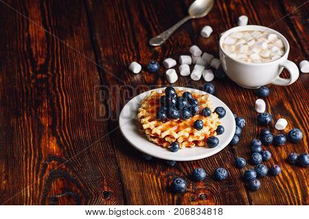Waffles with Fresh Blueberry and Honey on Plate Cup of Coffee with Marshmallow. Copy space on the Left Side.