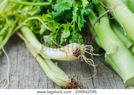Fresh of pring onion and kale on wooden floor.