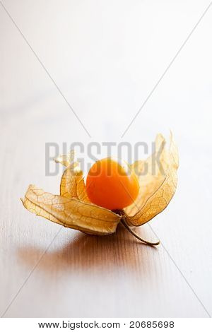 Physalis