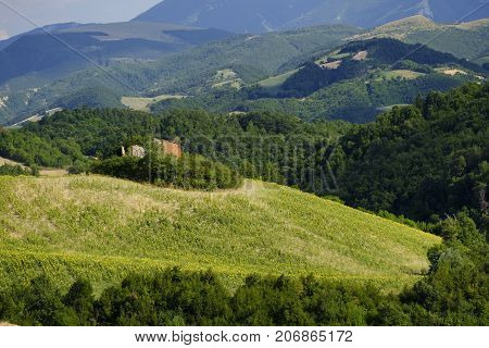 Summer landscape along the road from Lunano to Urbania (Montefeltro Pesaro Urbino Marches Italy)
