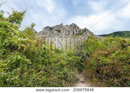Bushes In Natural Park The Valley Of Ghosts