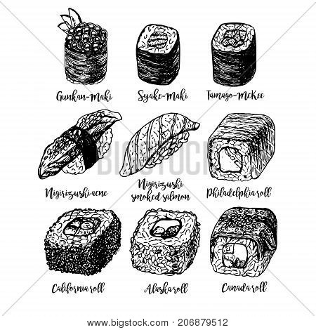Hand drawn set of sushi and rolls. Retro sketches isolated. Vintage collection. Linear graphic design. Black and white Japanese rolls. Vector illustration.