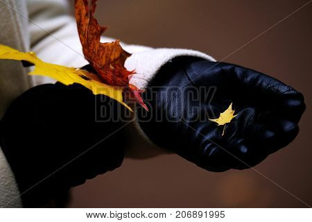 A girl in black gloves holds leaves in an autumn forest