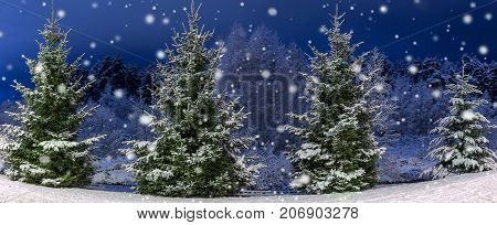 Winter night panoramic landscape. Christmas trees covered with snow. Fairy-tale snow and festive mood. Panorama