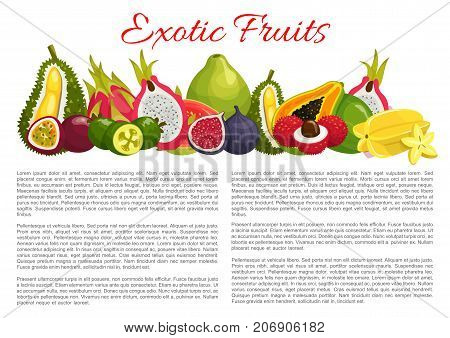 Exotic fruits information poster template on nutrition facts. Vector harvest of tropical figs, durian or papaya and lychee, organic farm pitahaya, passionfruit or carambola and juicy tropic guava