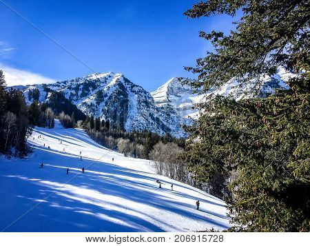 People Skiing Down A Mountain