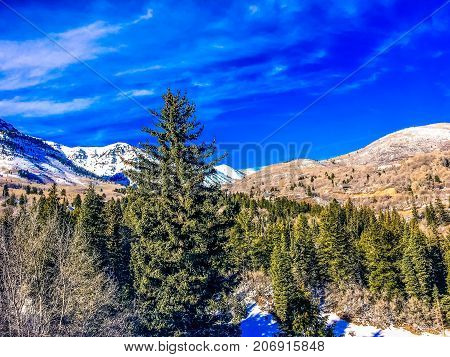 People Skiing Down A Mountain