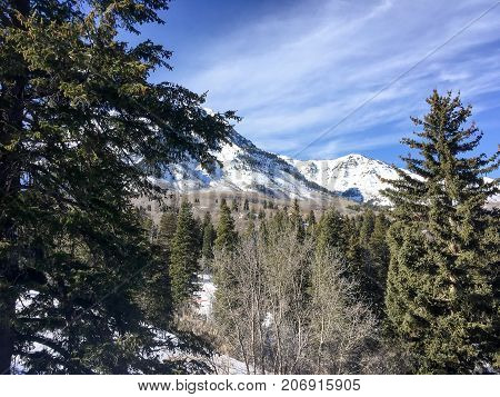 People Skiing Down A Mountain