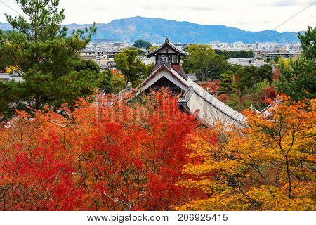 Tenryu-ji Temple With Autumn Leaf Color, Arashiyama
