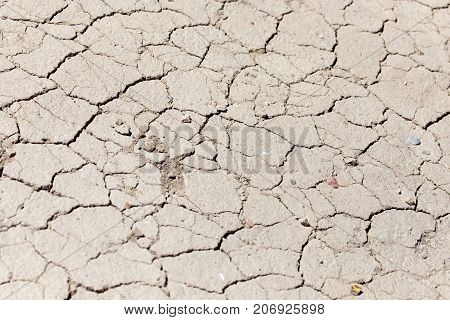 background of dried clay . In the park in nature