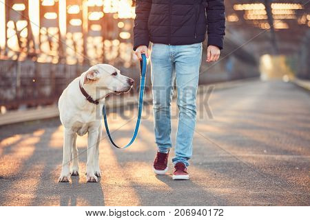 Morning walk with dog. Young man with his labrador retriever on the iron bridge at the sunrise.