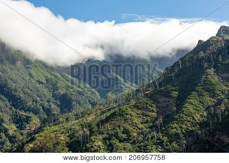 View to the south from the pass Boca da Encumeada in Madeira