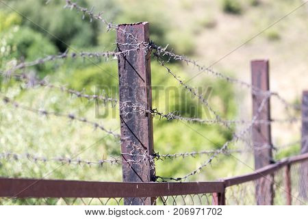 barbed wire fence . In the park in nature