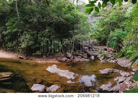 Small mountain stream in the shade of the tropical forest with snag tree in the foreground Mu Koh Chang National Park, Chang island, Thailand. Path to the Khlong Phlu waterfall. Natural background.