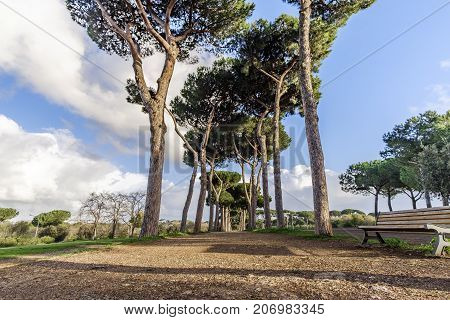 Villa Doria Pamphili