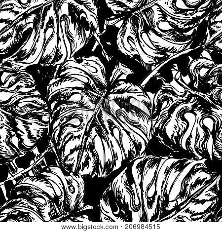 Seamless black and white pattern with exotic leafs of Munster, Tropical summer print. Can be used for wallpaper, pattern fills, web page, surface textures, textile print, wrapping paper.