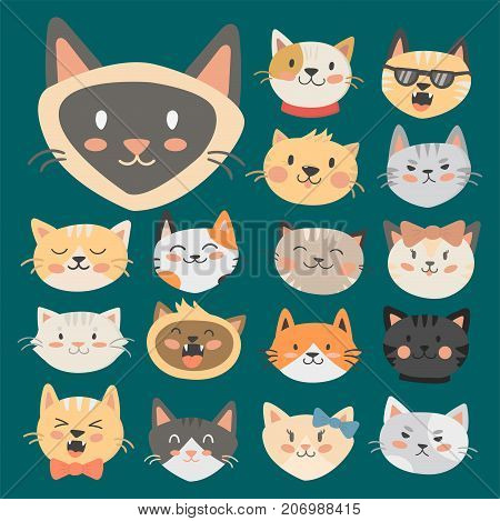 Cats heads vector illustration cute animal funny decorative characters color abstract feline domestic trendy pet drawn. Happy mammal fur adorable breed.