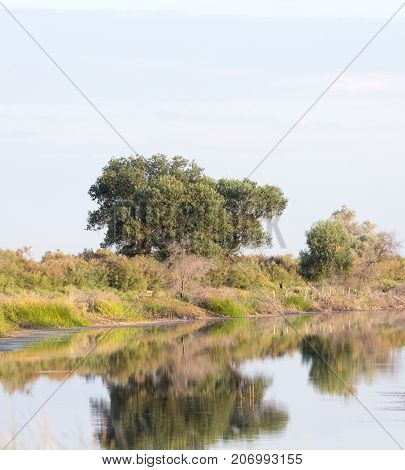 reflection of trees in water . In the park in nature