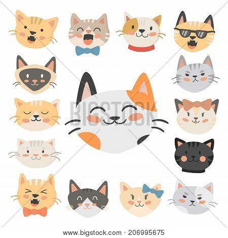 Cats heads vector illustration cute animal funny decorative characters color abstract feline domestic trendy pet drawn. Happy mammal fur adorable breed.