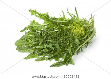 Friss Puntarelle zöldség-fehér háttér