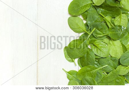 Fresh Green Spinach Leaves On White Wooden Rustic Background Top View Copy Space. Baby Young Spinach