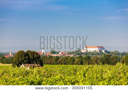 vineyards and Siklos castle, Hungary