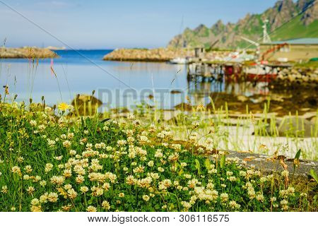 Fishing Port, Bleik Village In Summer Time. Andoya Island, Vesteralen Archipelago.