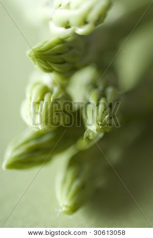 Asparagi