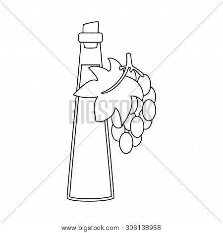 Vector Design Of Grape And Seed Sign. Set Of Grape And Vitamin Vector Icon For Stock.