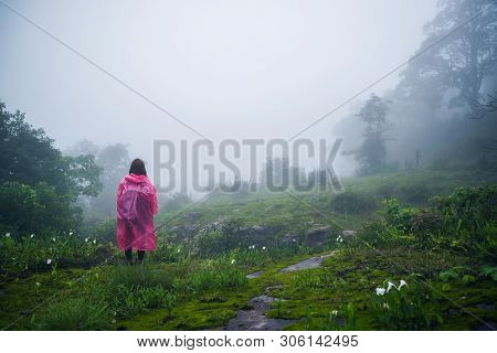 Tourist With Pink Rain Coat Stand View The Scenery Natural Beautiful Touch Fog At Phu Hin Rong Kla N