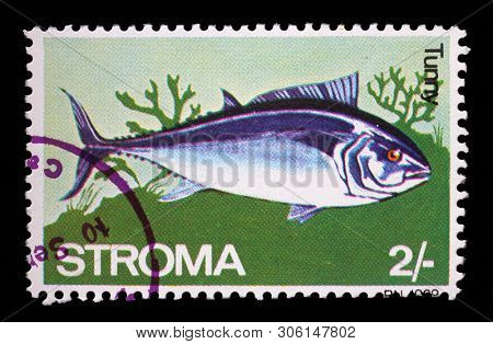 ZAGREB, CROATIA - JULY 03, 2014: A stamp issued in Stroma shows Tunny, circa 1969.