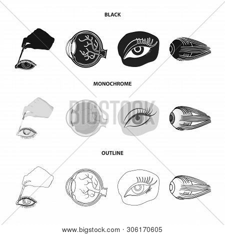 Vector Design Of Medical And Eyeball Symbol. Collection Of Medical And Optical Stock Vector Illustra
