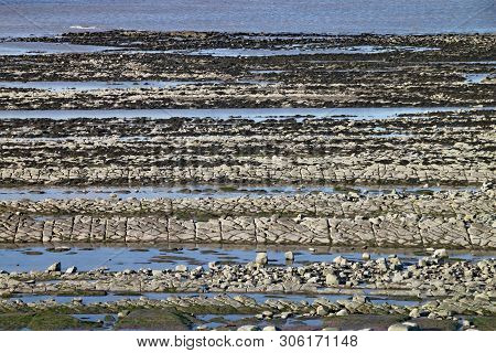 East Quantoxhead Beach In Somerset. The Limestone Pavements Date To The Jurassic Era And Are A Parad