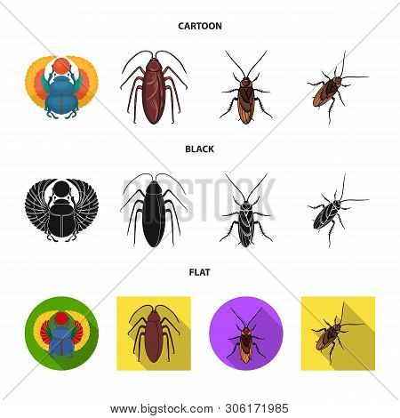 Vector Illustration Of Insect And Beetle Logo. Set Of Insect And Halloween Vector Icon For Stock.