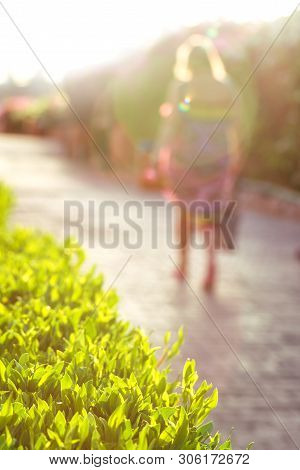 Woman Walking Away In Summer Evening Glow With Sunlit Bush Geenery In Front With Lens Flare. Summer 