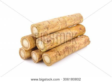 Fresh Burdock Root Or Gobo On White Background