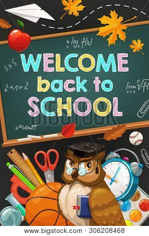 Welcome Back To School Chalk Lettering On Chalkboard And Education Supplies. Vector Back To School B