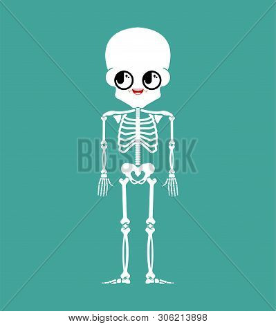 Cute Kawaii Skeleton Isolated. Funny Skull Cartoon Style. Kids Character. Childrens Style.