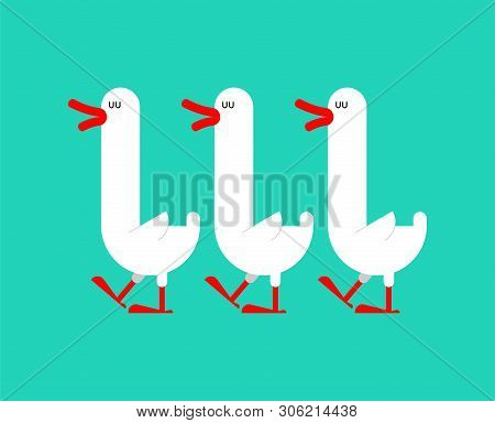 Flock Of Geese Isolated. Long-necked Water Bird. Vector Illustration